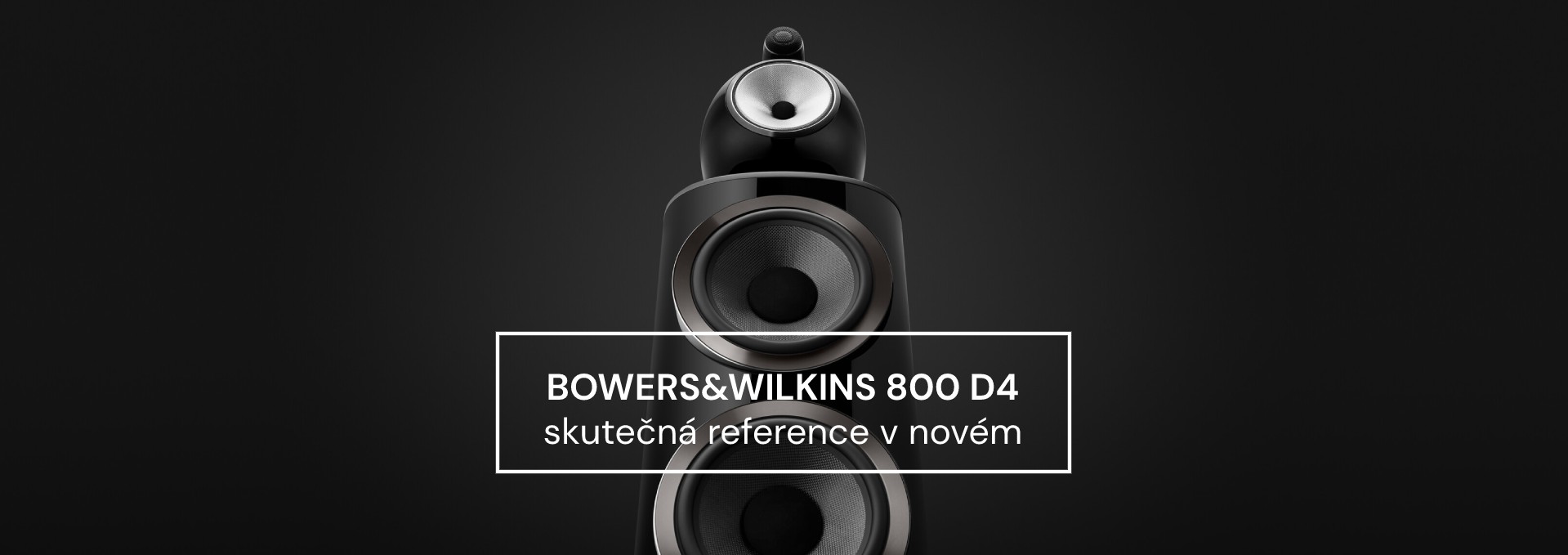 Bowers & Wilkins 800 D4